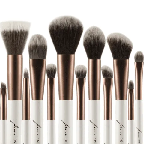 12-Piece Elite Brush Set