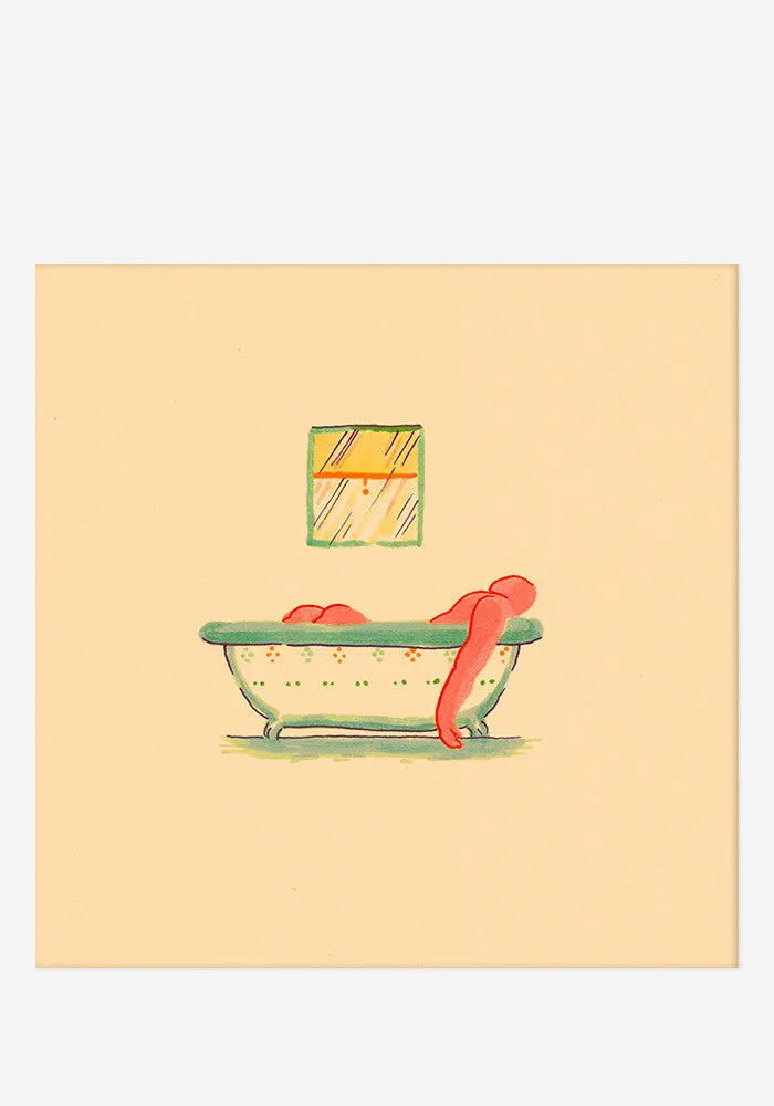 A Hairshirt Of Purpose LP