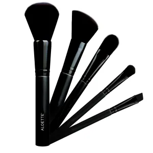 ALOETTE PROFESSIONAL 5-PIECE BRUSH COLLECTION