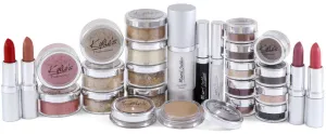 Artist Start Up & Student Mineral Goddess Kit  Bonus Traveler Brush Set