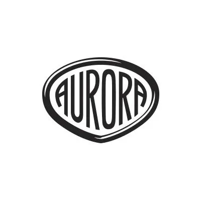 Aurora Asia Limited Edition 5 Piece Set w/ Ink pot