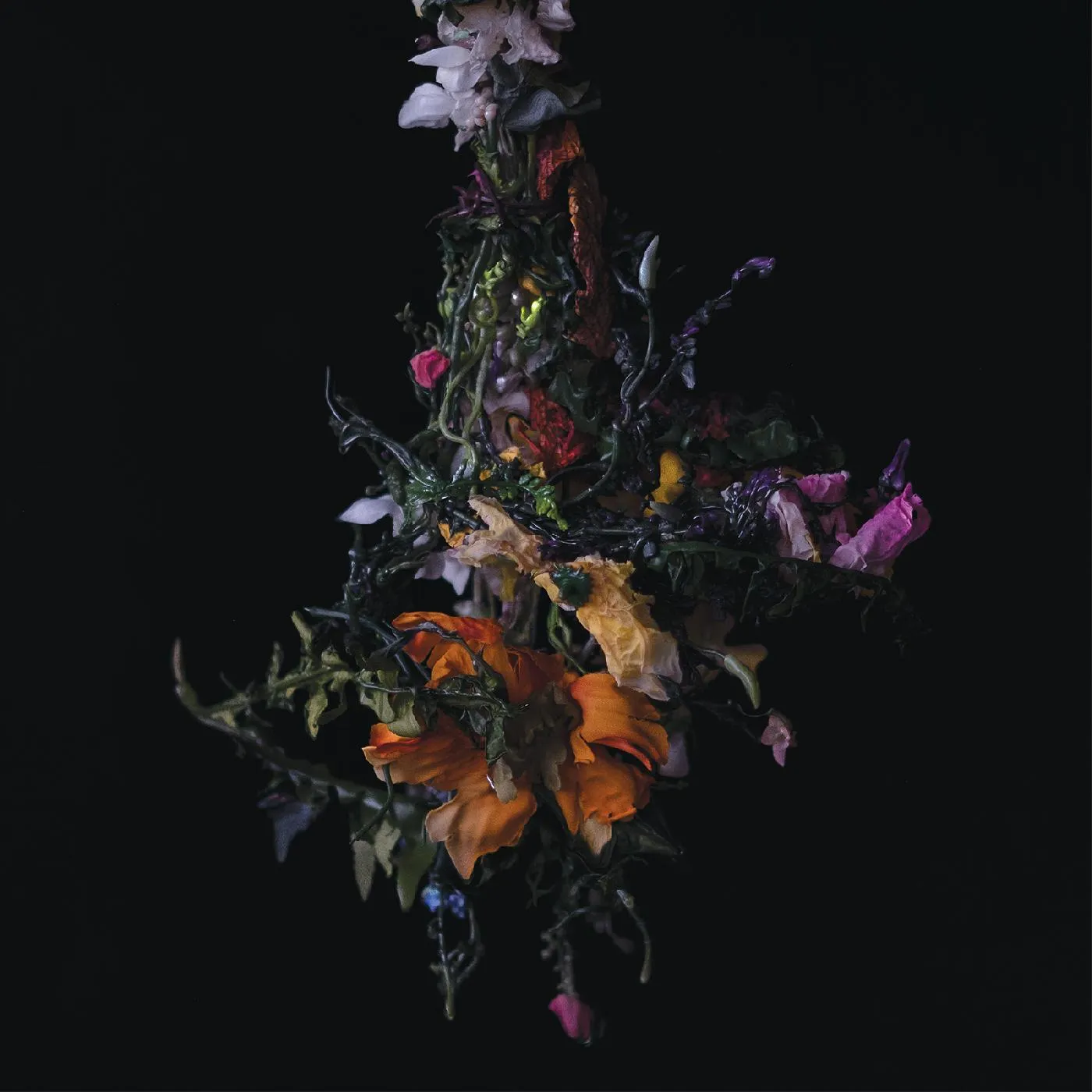 BIG|BRAVE nature morte