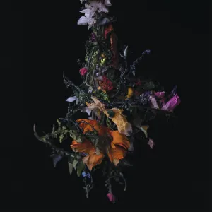 BIG|BRAVE nature morte