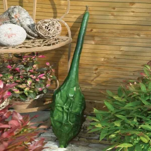 Caveman's Club Gourd - Lagenaria siceraria