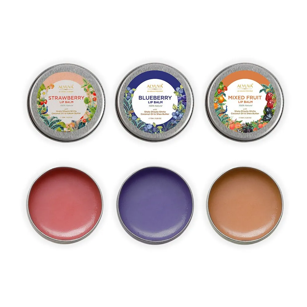 Combo of Ghee Enriched 100% Natural Strawberry, Orange & Blueberry Lip Balms, 7gms Each
