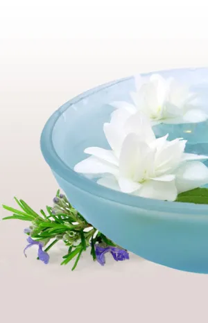 Echinacea 1/4 oz. Flower Essence