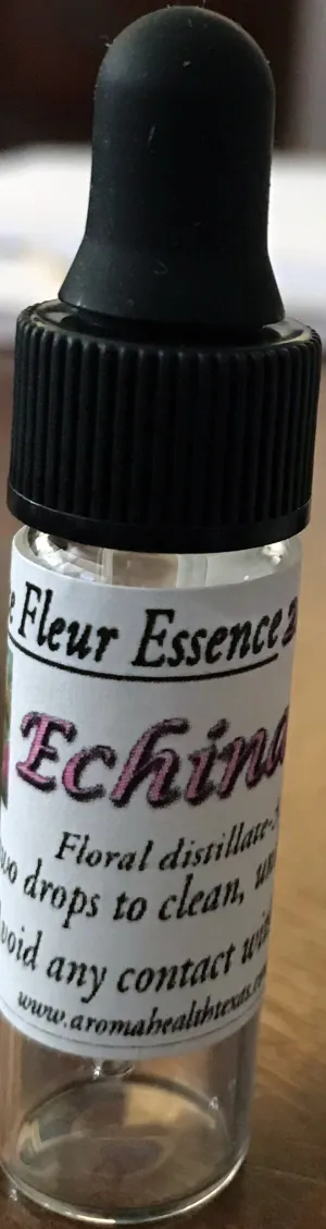 Echinacea,Echinacea pupura, Flower Essence