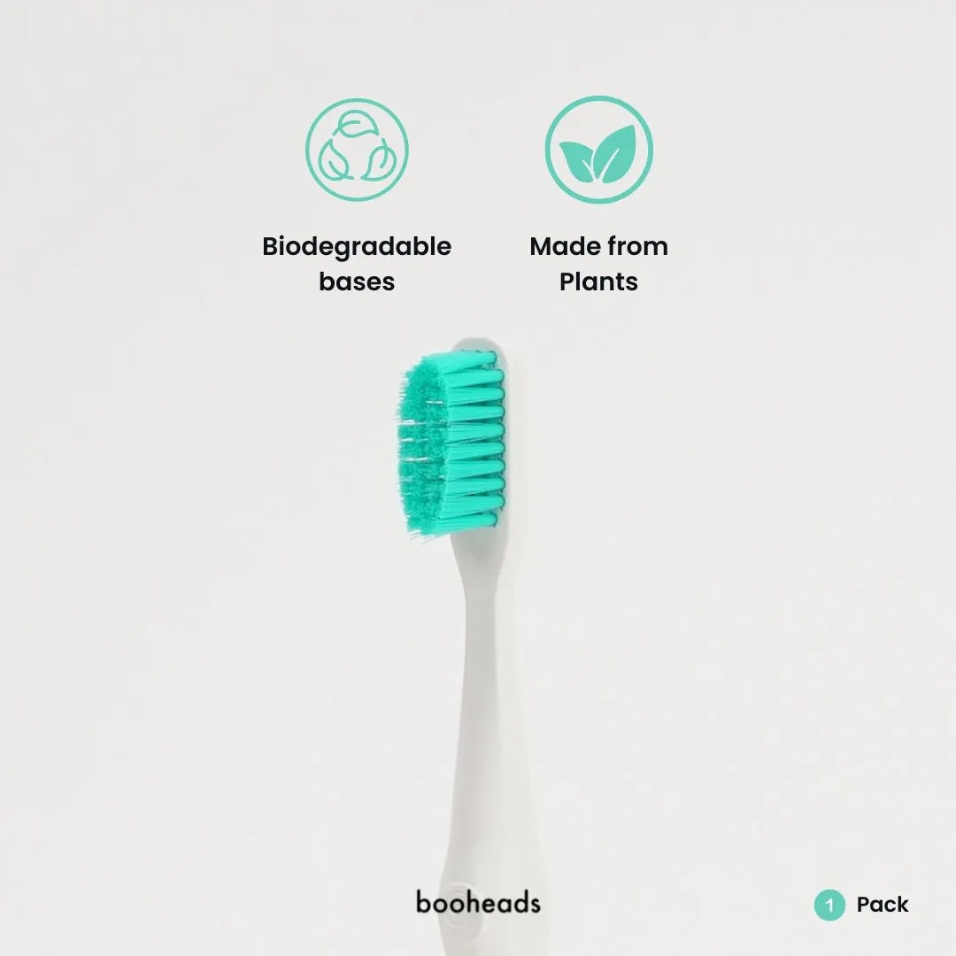 Eco Toothbrushes | Purple & Aqua
