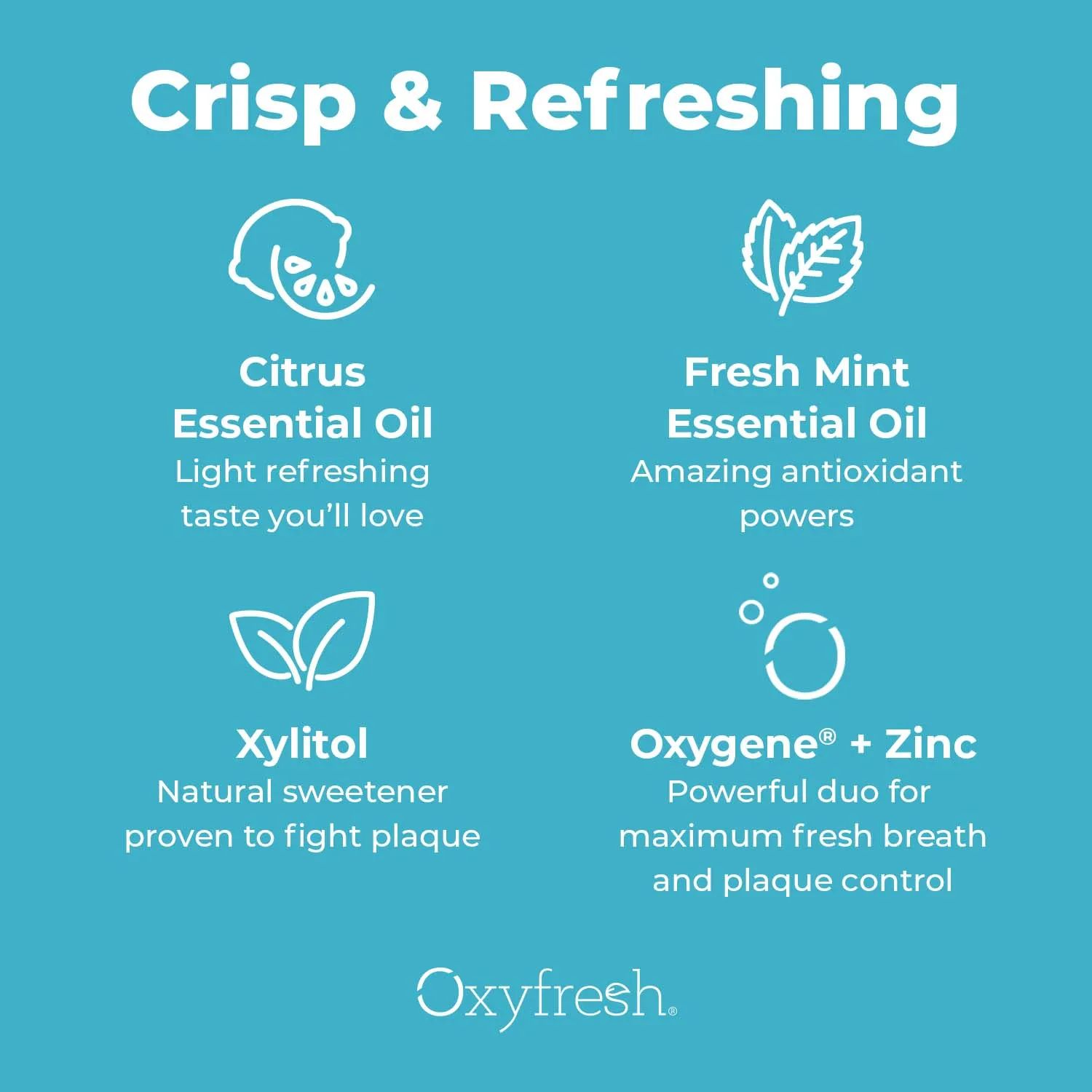 Fresh Breath Lemon Mint Mouthwash | 24 Hr Protection | Fluoride Free