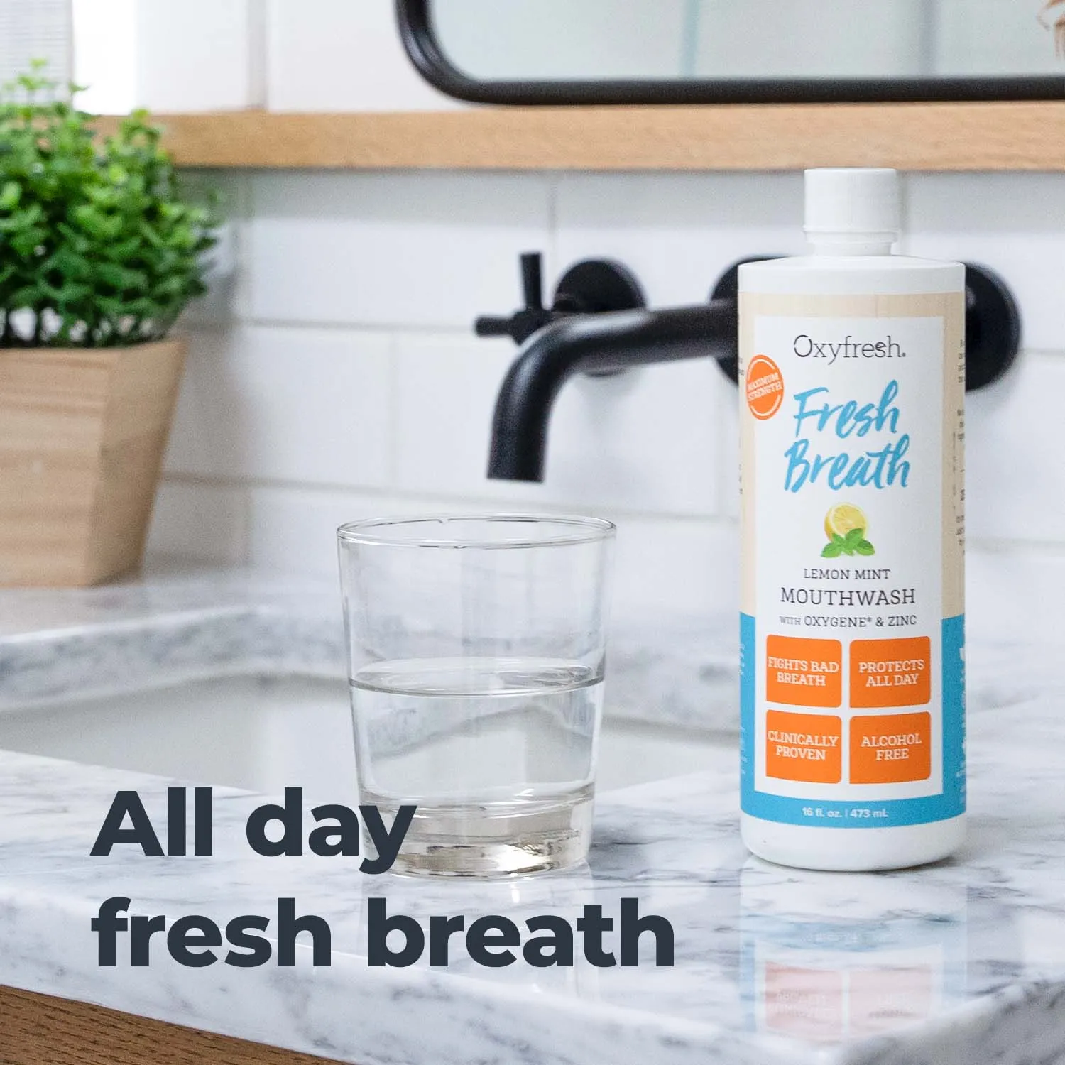 Fresh Breath Lemon Mint Mouthwash | 24 Hr Protection | Fluoride Free