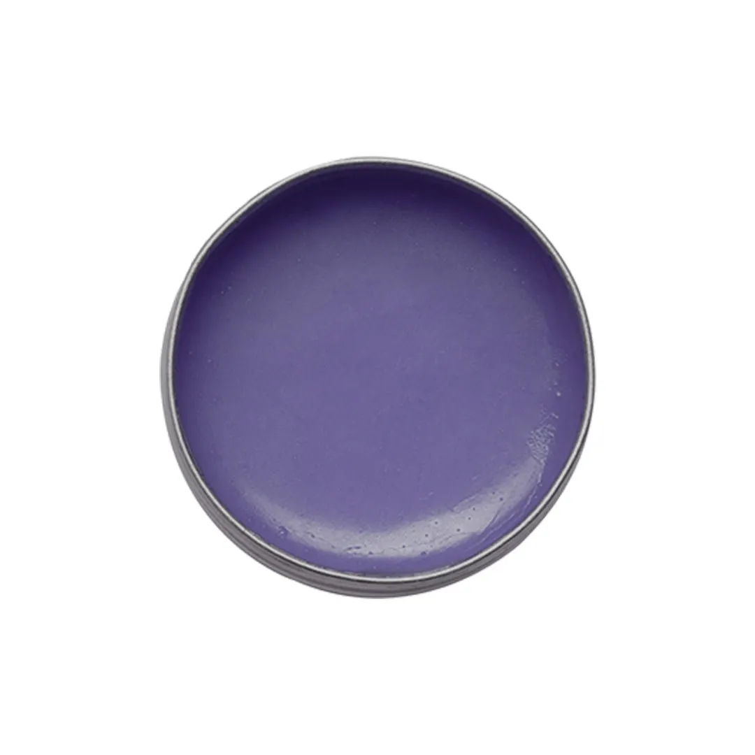 Ghee Enriched 100% Natural Blueberry Lip Balms, Pack of 3, 7gms Each
