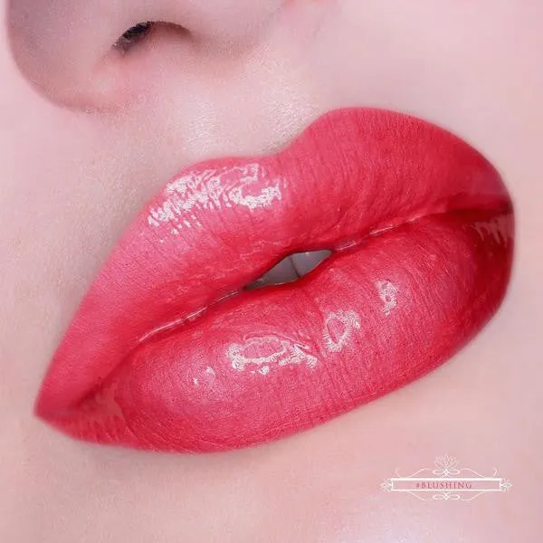 House of Beauty Lip Hybrid - Tube