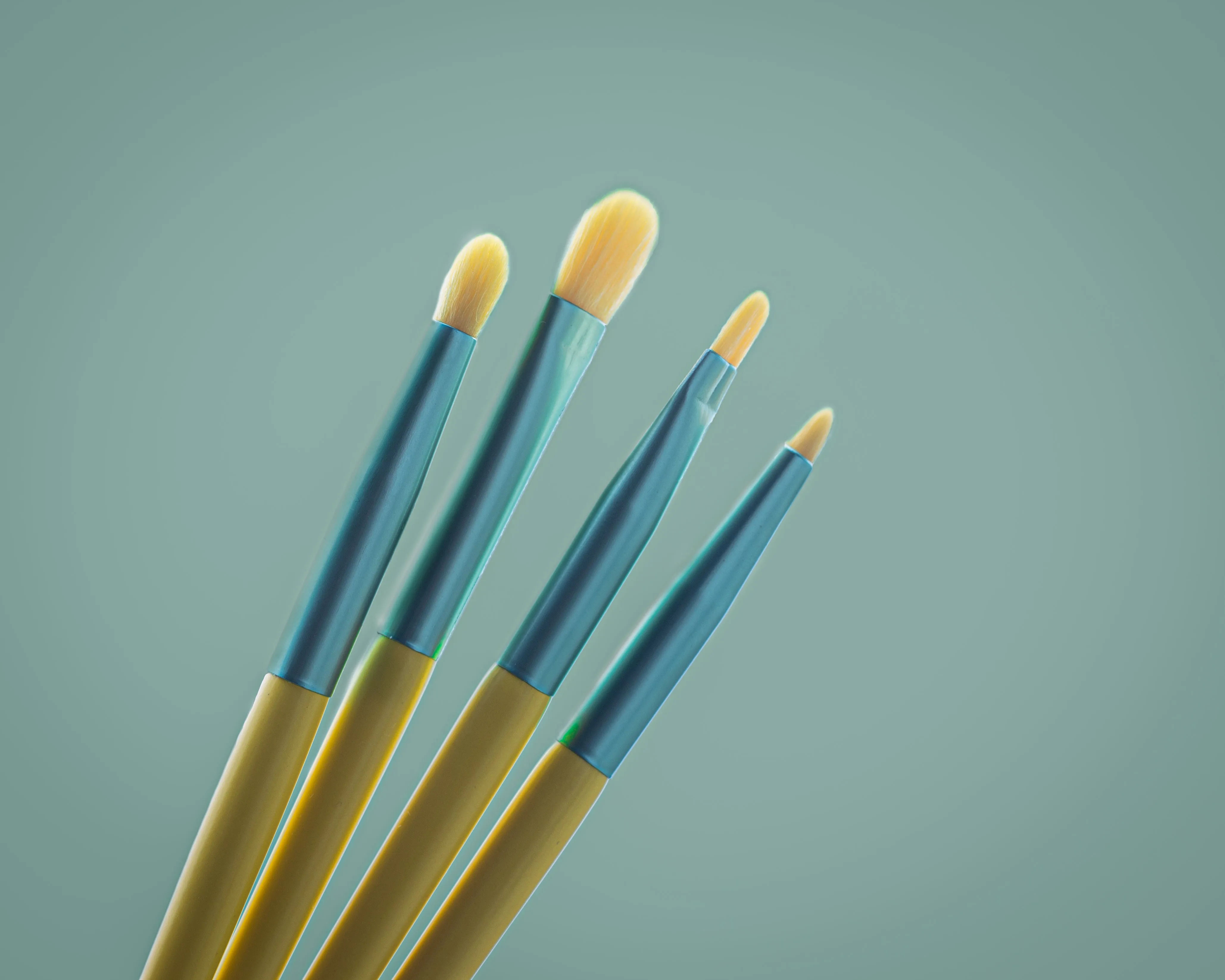 Lemonade- 12 Pieces Brush Set