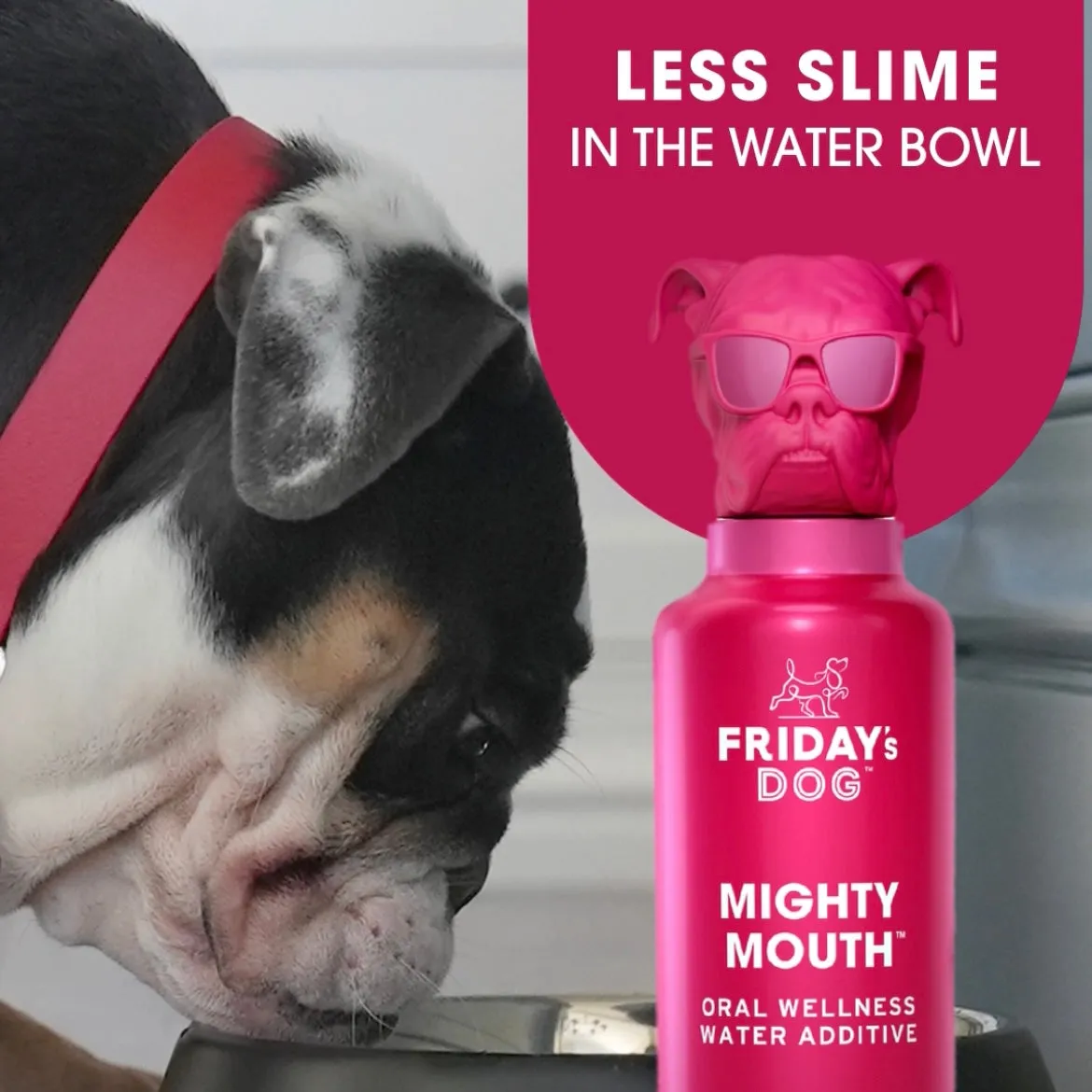 Mighty Mouth™ Dental Health Water Additive for Dogs and Cats