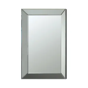 Pinciotti 36 x 24 Inch Beveled Frame Wall Mirror Silver