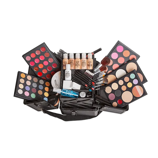 Professional Toolbox Makeup Case