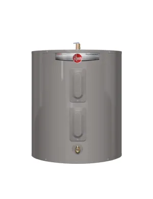 RHEEM 38 GALLON SHORT 4500/4500 WATT & BRASS DRAIN