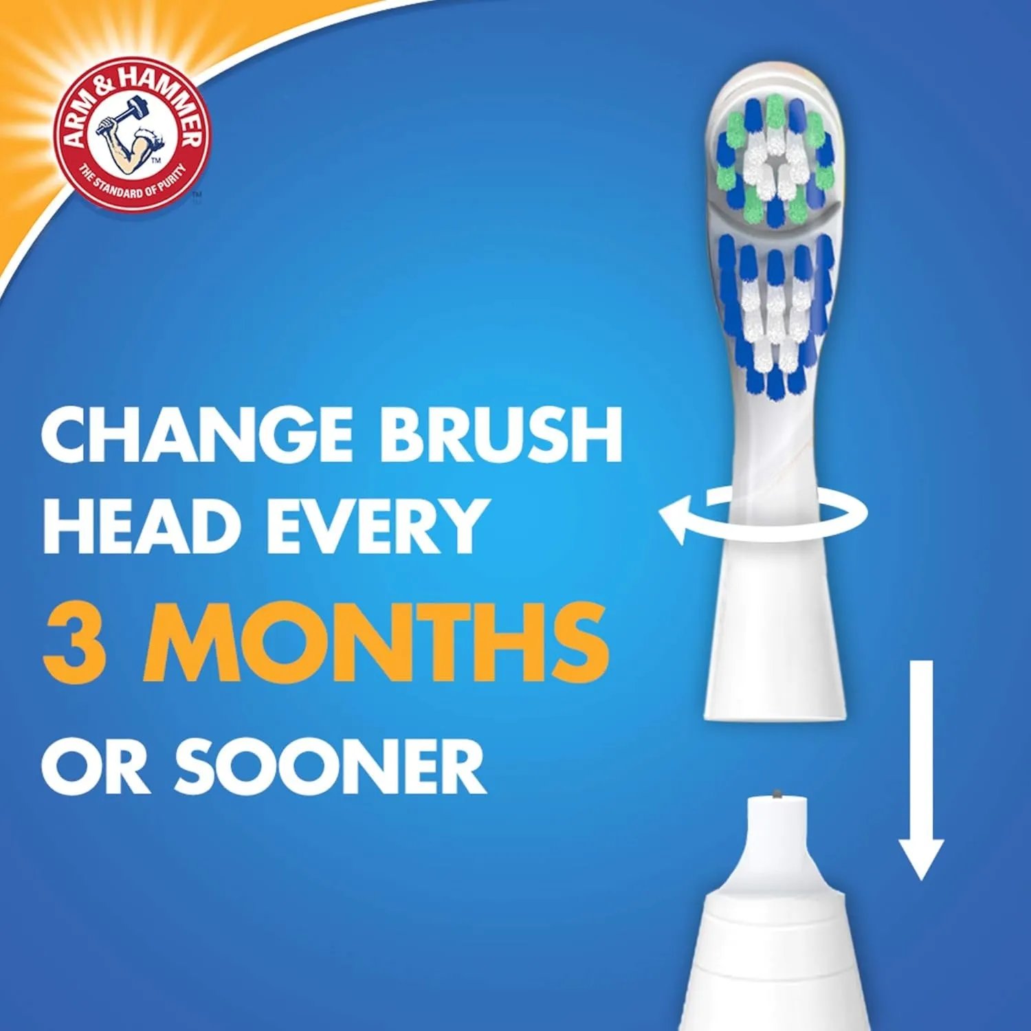 Spinbrush PRO  Gum Health Powered Toothbrush, 1 Count
