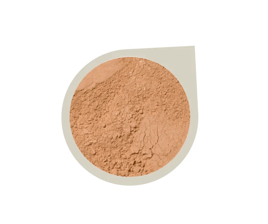 Start Up Kit ~ Mineral Foundation Powder
