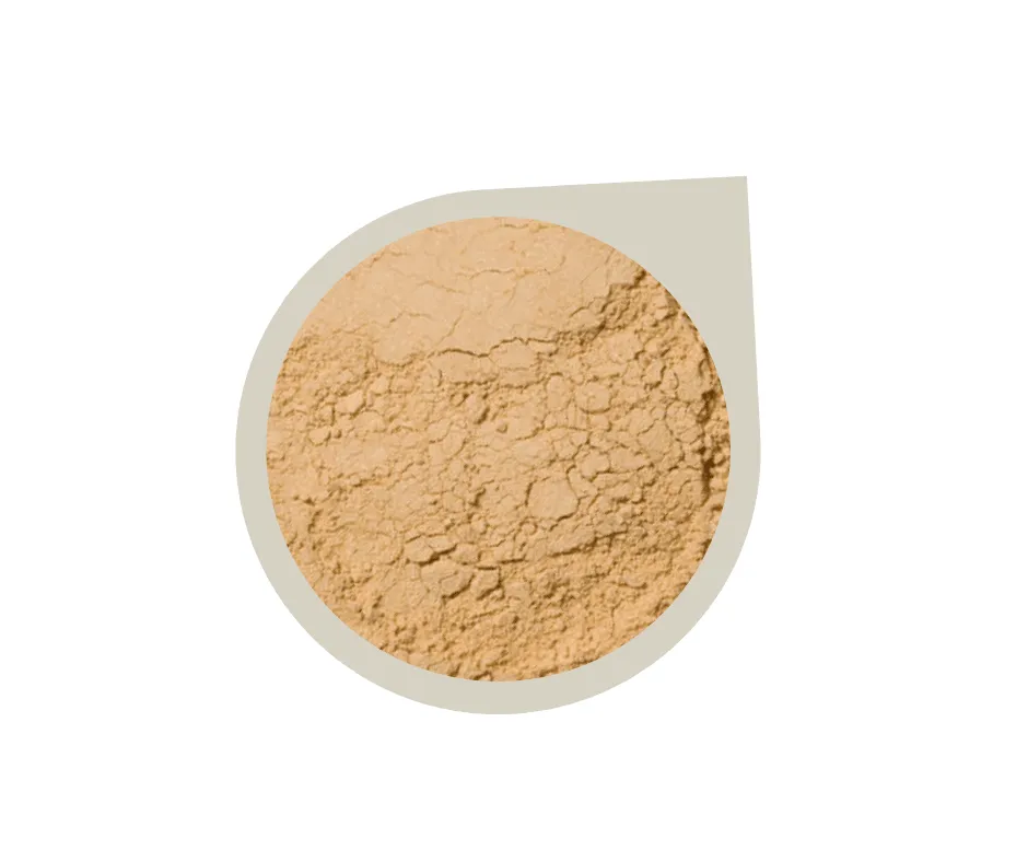 Start Up Kit ~ Mineral Foundation Powder
