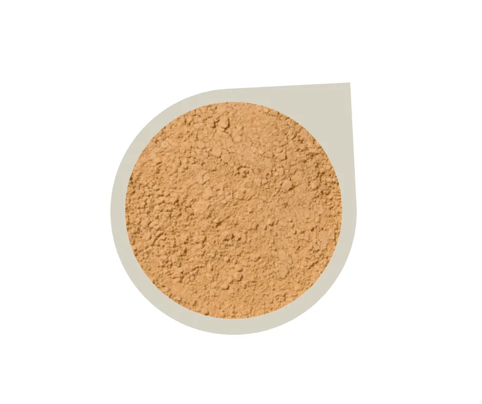 Start Up Kit ~ Mineral Foundation Powder