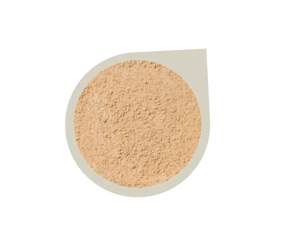 Start Up Kit ~ Mineral Foundation Powder