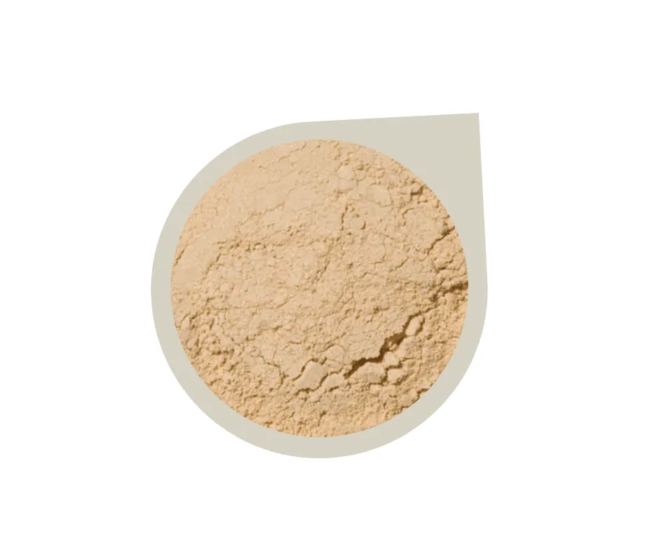 Start Up Kit ~ Mineral Foundation Powder