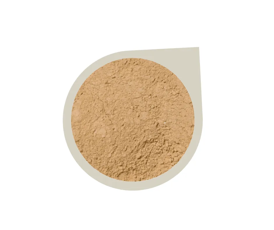 Start Up Kit ~ Mineral Foundation Powder