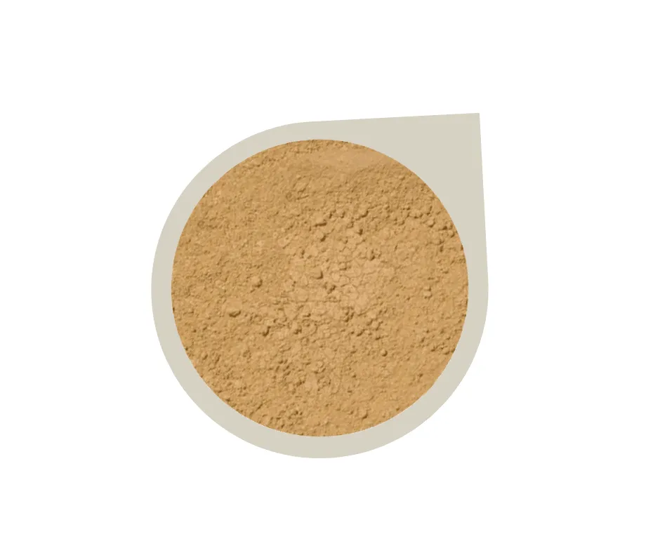 Start Up Kit ~ Mineral Foundation Powder