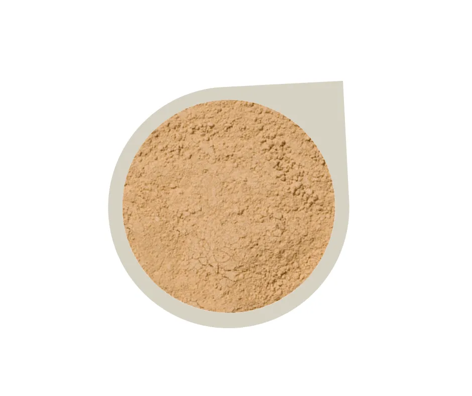 Start Up Kit ~ Mineral Foundation Powder