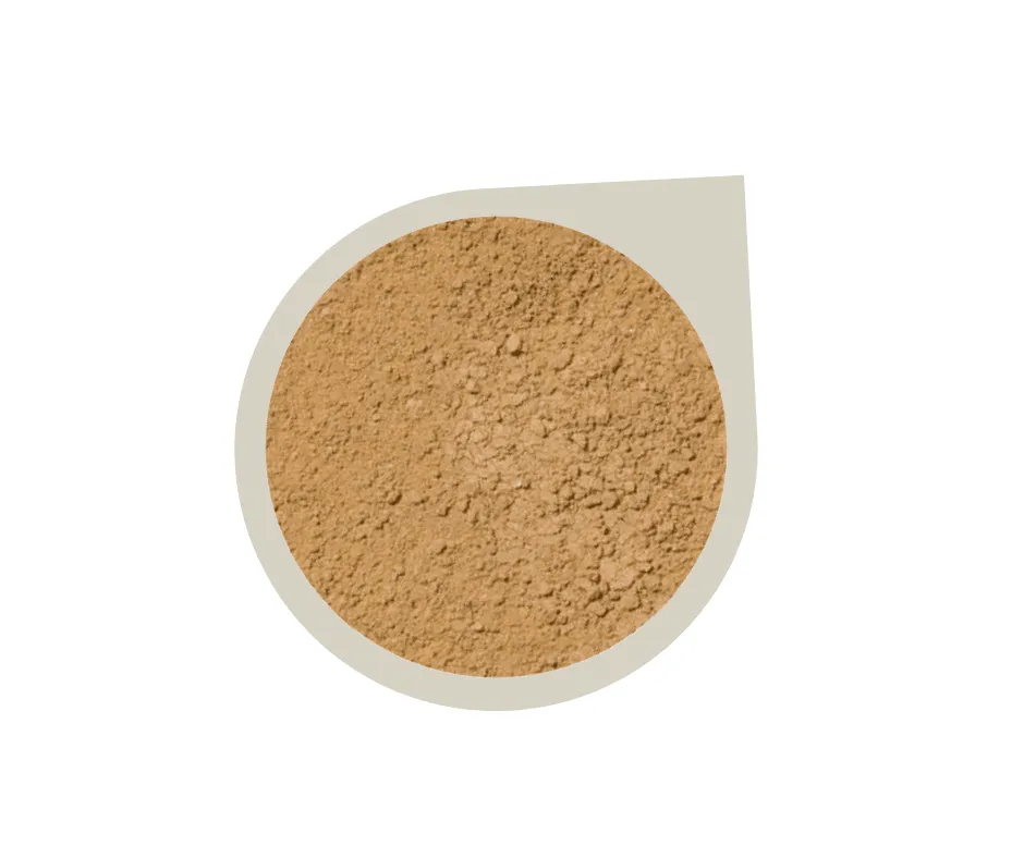 Start Up Kit ~ Mineral Foundation Powder