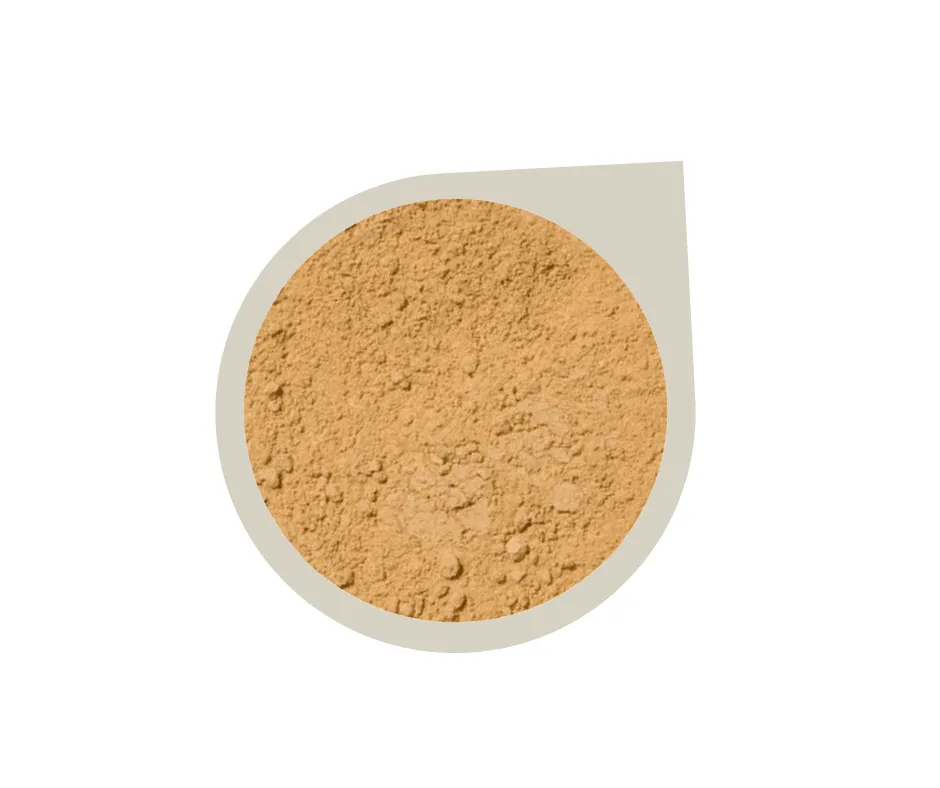 Start Up Kit ~ Mineral Foundation Powder
