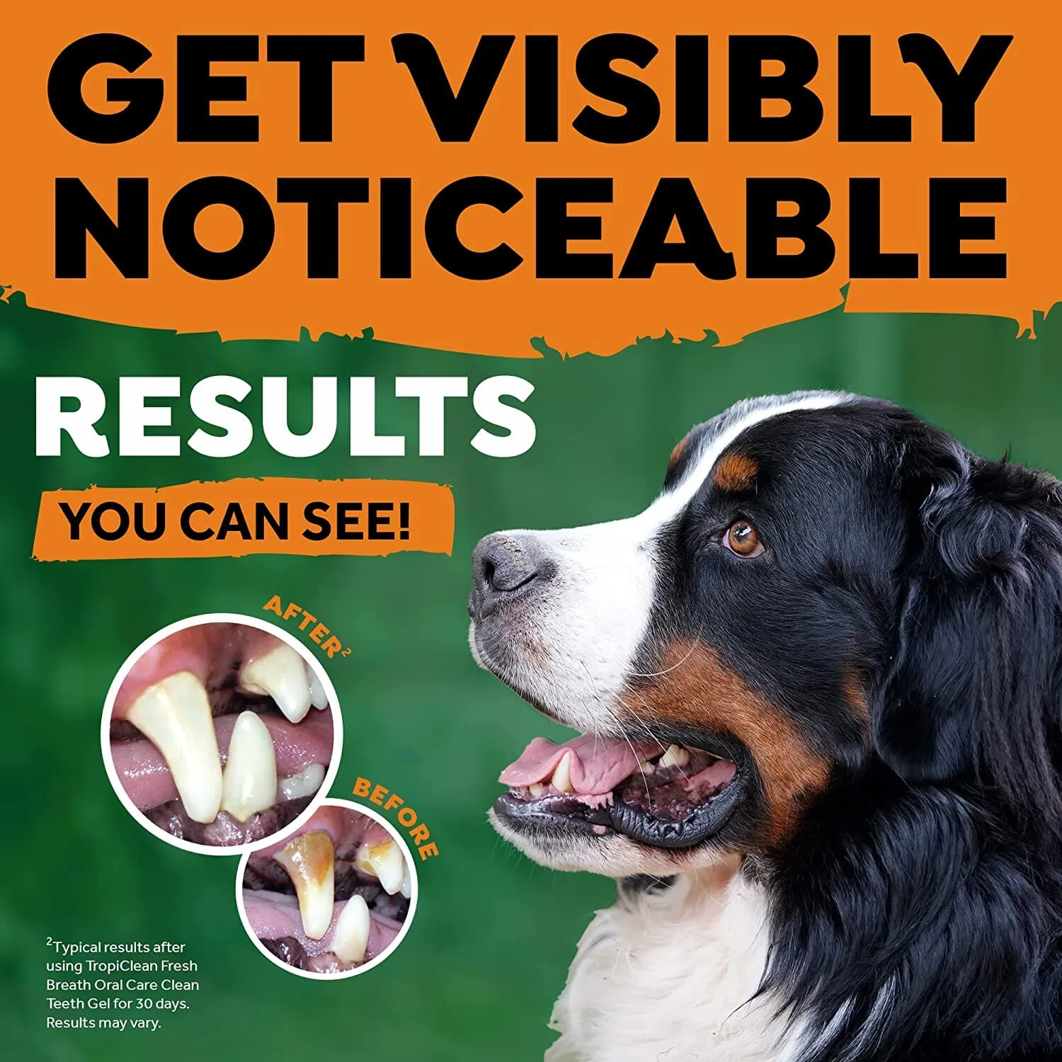 Tropiclean Fresh Breath Large Dog Total Care Kit - 2 Oz