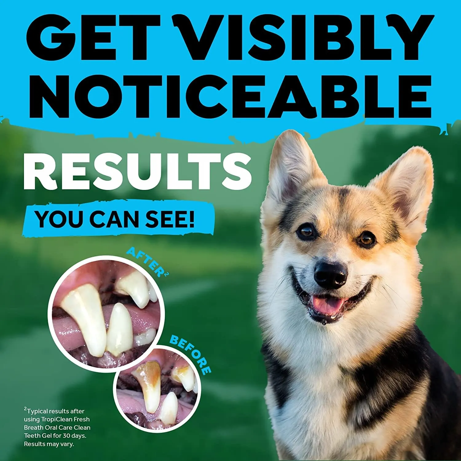 Tropiclean Fresh Breath Small Dog Total Care Kit - 2 Oz