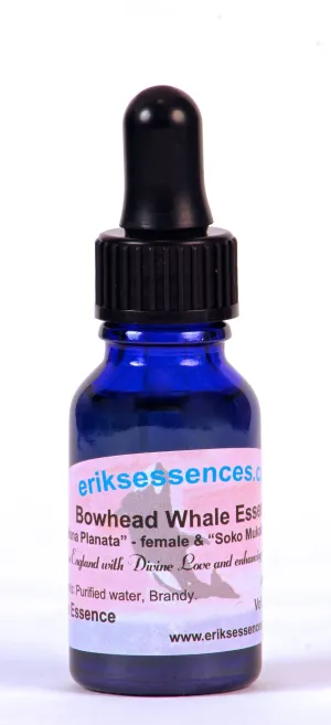 WE 11. Bowhead Whale ( Mana Planata - female & Soko Mukaku - male ). 15ml